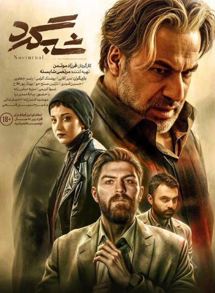 دانلود فیلم شبگرد