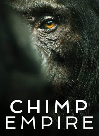 دانلود مستند امپراتوری شامپانزه ها 2023