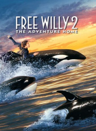 دانلود فیلم نهنگ آزاد 2: ماجراجویی به سوی خانه 1995