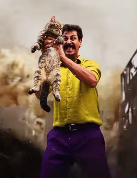 فیلم ایرانی سال گربه