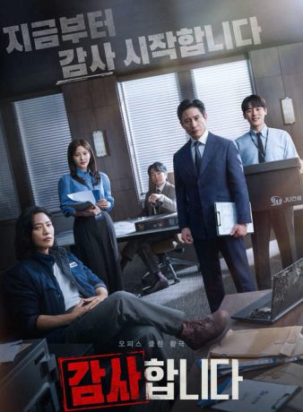 دانلود سریال کره ای حسابرس ها 2024