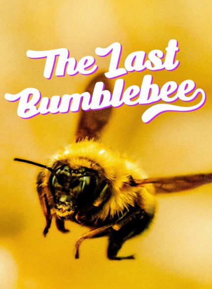 دانلود مستند آخرین زنبور عسل 2024
