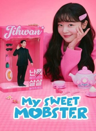 دانلود سریال کره ای گنگستر دلنشین من 2024