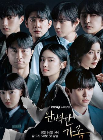 دانلود سریال کره ای خانواده عالی 2024