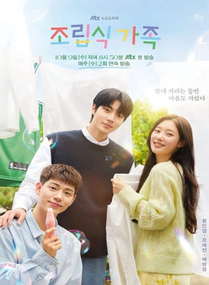 دانلود سریال کره ای خانواده انتخابی 2024