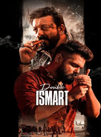 دانلود فیلم هندی ذهن دوگانه 2024