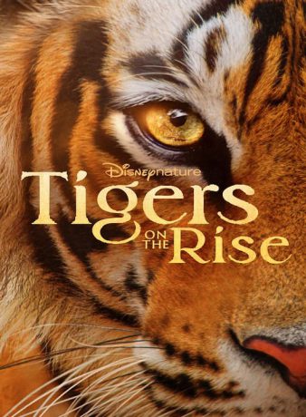 دانلود مستند ببرهای در حال ظهور 2024