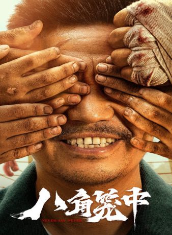 دانلود فیلم چینی هرگز نگو هرگز 2023