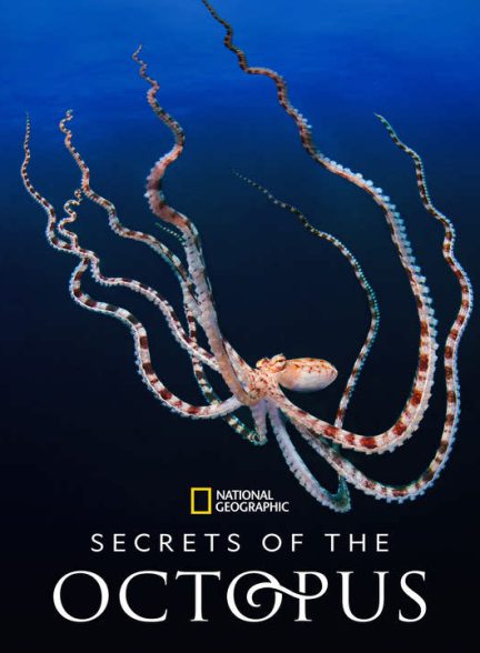 دانلود مستند رازهای اختاپوس 2024