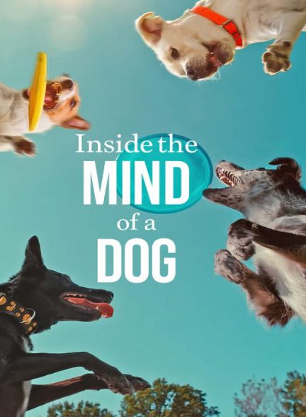 دانلود مستند درون ذهن یک سگ 2024