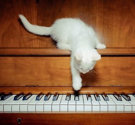 راهنمای خرید پیانو برای افراد مبتدی