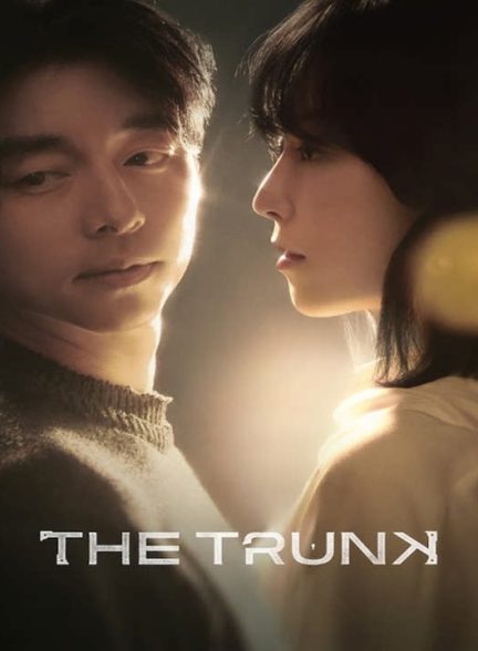 دانلود سریال کره ای صندوق 2024