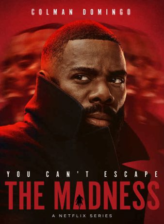 دانلود سریال دیوانگی 2024