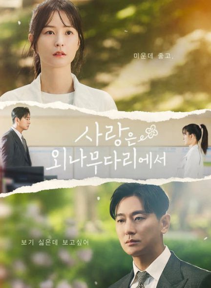 دانلود سریال کره ای دشمن خود را دوست بدار 2024