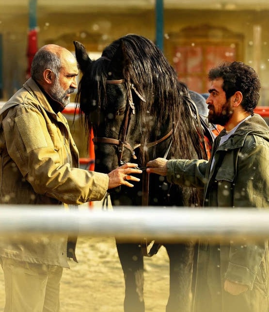 دانلود فیلم ایرانی ناتور دشت