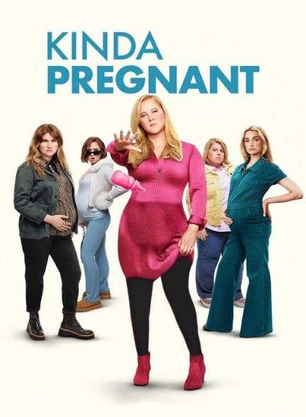 دانلود فیلم یه جورایی باردار 2025