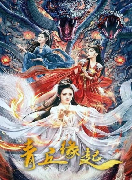 دانلود فیلم چینی تقدیر از دست رفته 2024