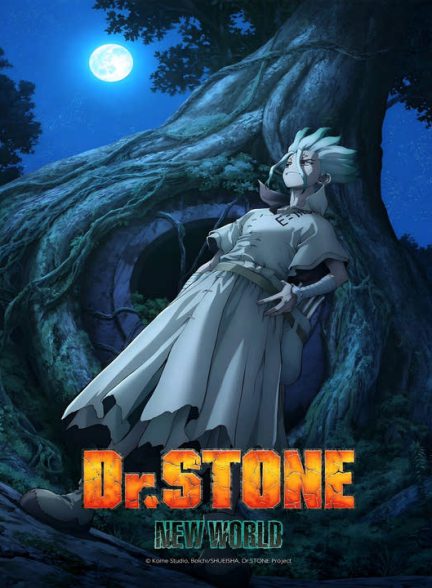 دانلود فصل اول انیمه دکتر استون 2019