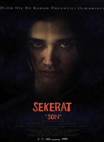 دانلود فیلم آخرین نقاشی 2016