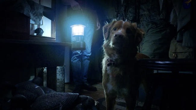 تیزر فیلم Good Boy 2025