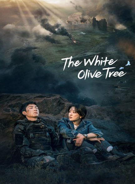 دانلود سریال چینی درخت زیتون سفید 2025