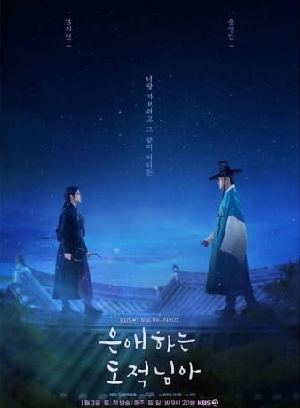 دانلود سریال کره ای دزد دوست داشتنی 2026